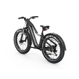 Ranger EB50 EBike