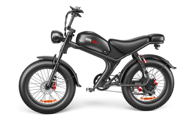 C93- Dual-drive High-speed Electric Bike