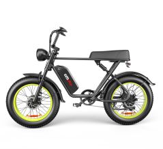 C91-20 Inch Dual-drive High-speed Electric Bike